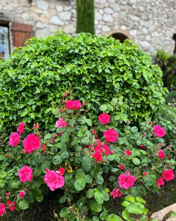 Bed & Breakfast La Bergerie Le Plan-de-la-Tour