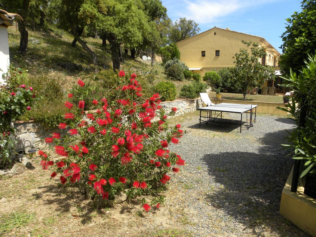 Bed & Breakfast La Bergerie Le Plan-de-la-Tour