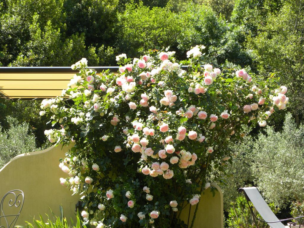 Bed & Breakfast La Bergerie